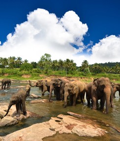 Sri Lanka