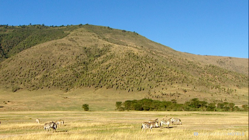 Luxury hotel  Ngorongoro Crater Lodge  Ngorongoro  United Republic