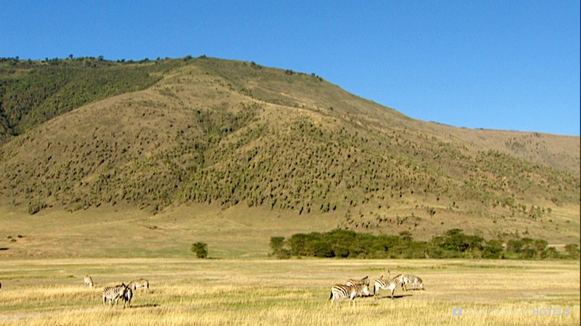 Luxury hotel  Ngorongoro Crater Lodge  Ngorongoro  United Republic