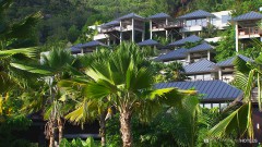 Raffles Praslin