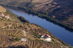 Quinta da Romaneira