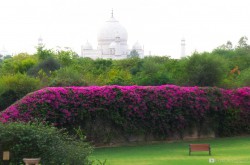 The Oberoi Armavilas